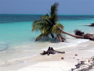 2004 Cuba, Cayo Levisa, DSC00688 B_B720